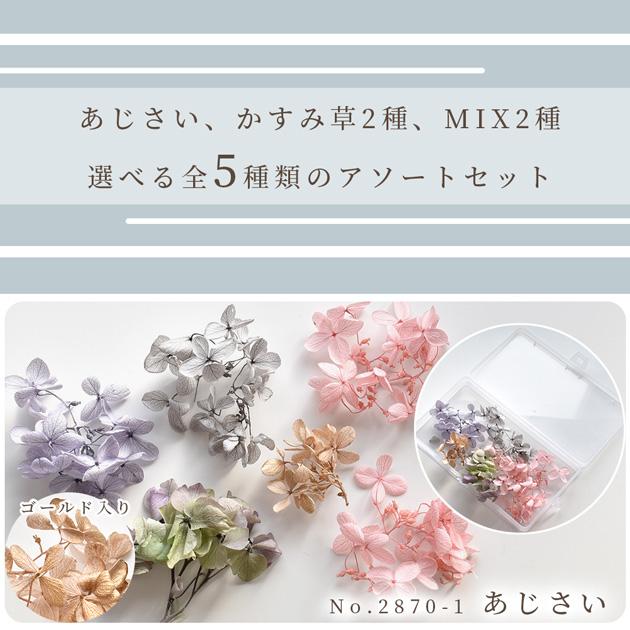 ドライフラワー 大地農園 アソート セット 全5種類 ケース付 ■ 紫陽花 かすみ草 ミックス レジン アクセサリー 花材 ハーバリウム  ■｜my-mama｜03