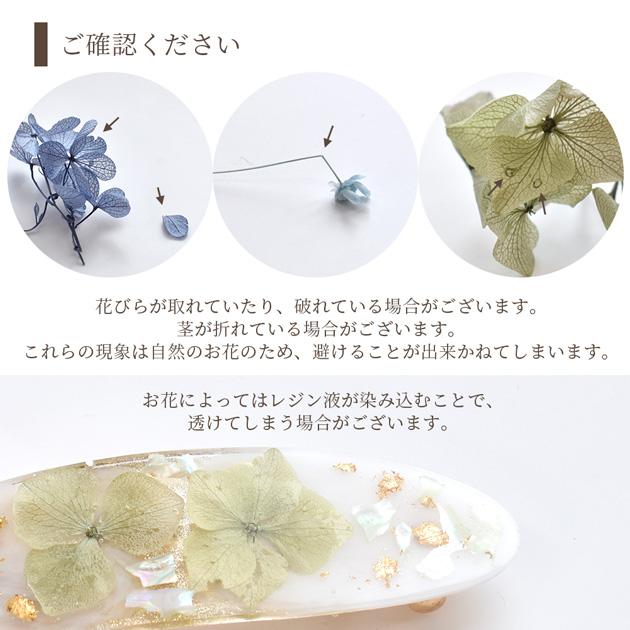 MY mama ドライフラワー 大地農園 アソート セット 全5種類 ケース付