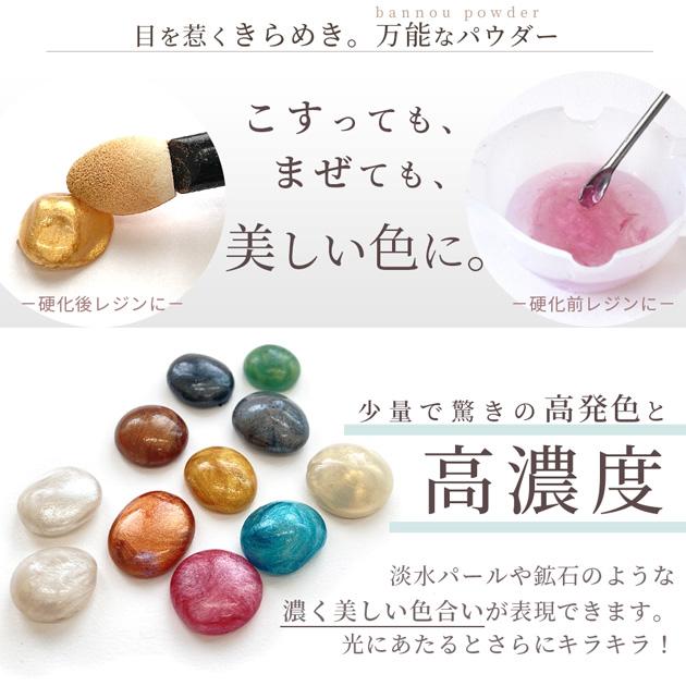 レジン ジェルネイル 着色剤 粉 万能 パウダー 全12色 単品売り MYmama