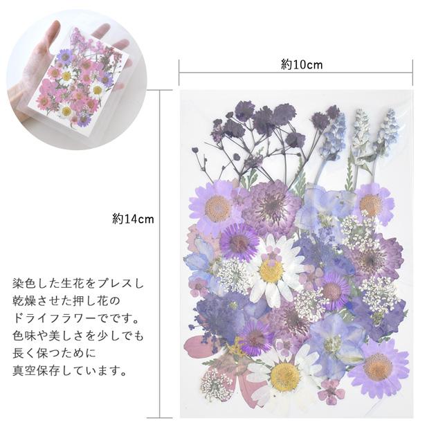 押し花 セット 40枚 レジン封入 全9種 ■ ドライフラワー レジン液 ネイル パーツ myr MIX ミックス 封入 パーツ 花材 ブリザード フラワー 天然素材 ■｜my-mama｜05