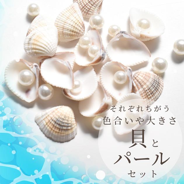 MY mama 天然 リアル 貝殻 と パール セット □ 可愛い パーツ ハー