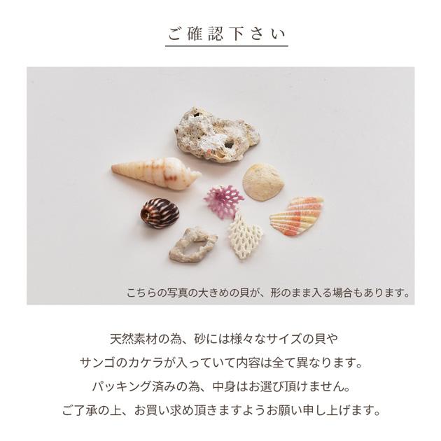 沖縄・石垣島の貝🐚海塗りレジンヘアゴム✨ チャーム付き💕 - Apamatty