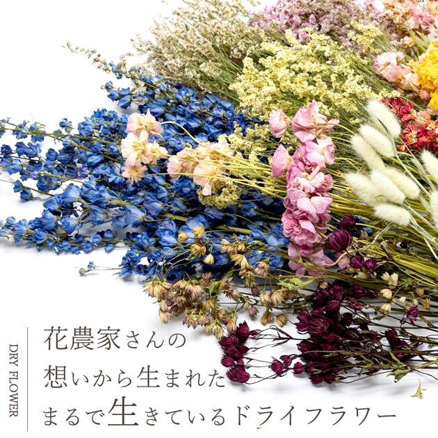 MY mama ドライフラワー レジン 花材 セット 全2種類 □ ケース MY mama ドライフラワー レジン 花材 セット 全2種類 □ ケース