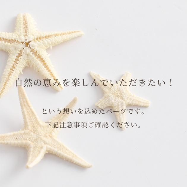 MY mama レジン 封入 封入パーツ 天然 リアル ヒトデ 10枚入 おしゃれ