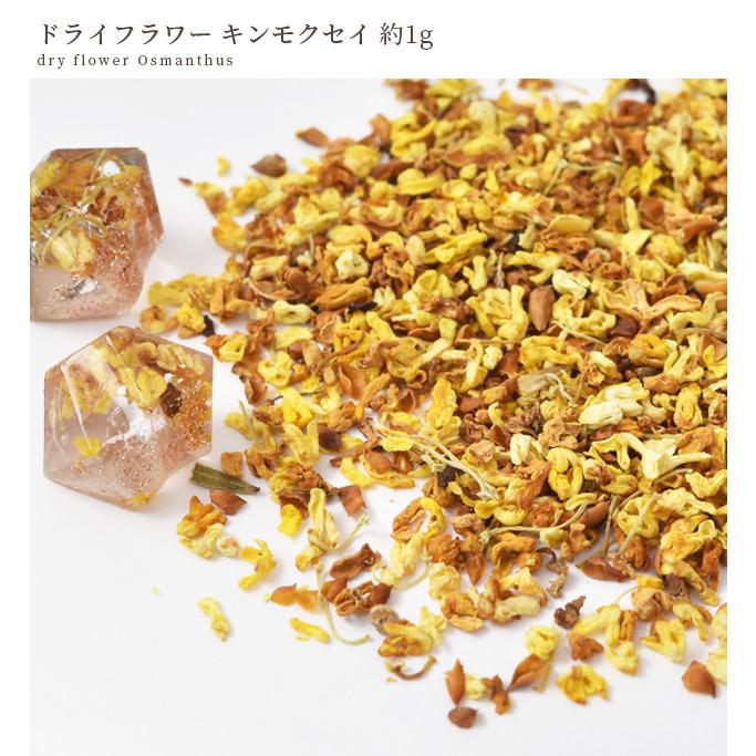 MY mama ドライフラワー キンモクセイ 約1g □ レジン ネイル