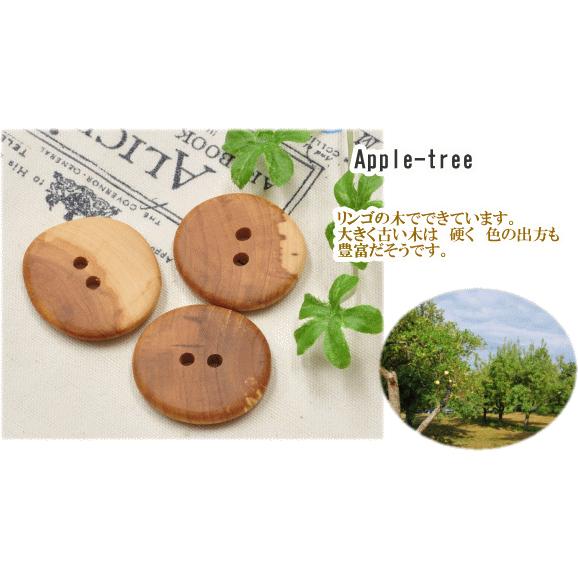 北欧から ウッドボタン りんごの木 6個 □ 2つ穴 ハンドメイド 手芸