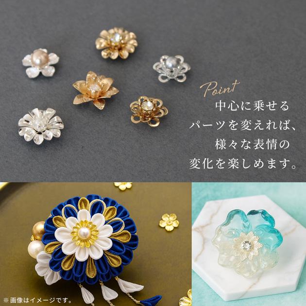 M*☆様 チャコット　チュチュ　MB 袖付き　美品　金色縁取り・レース・ビーズ装 7133db7c061c8107415a6aea9380ae