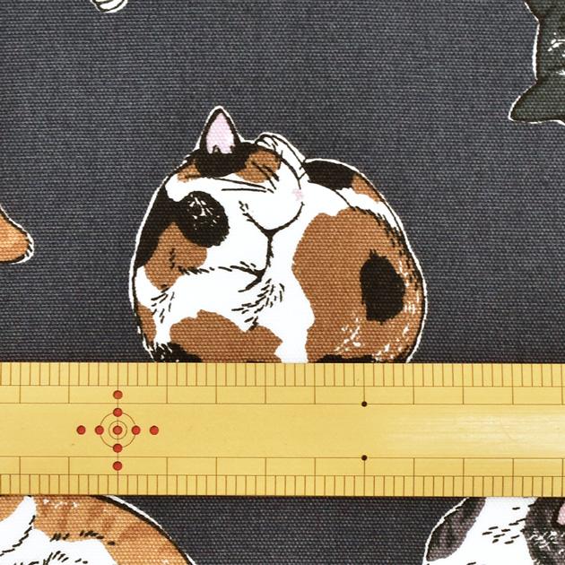 生地 布 布地 オックス まったり 猫 □ ねこ アニマル柄 三毛猫
