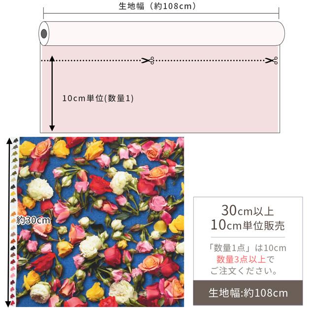 YUWA 生地 布 布地 有輪 シーチング 花柄 カラフル ローズ