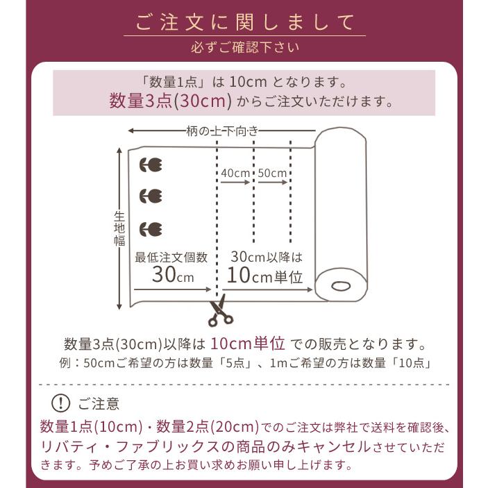 リバティプリント 生地 国産 タナローン エクスポージャー ■ リバティ・ファブリックス 31034 ■｜my-mama｜02