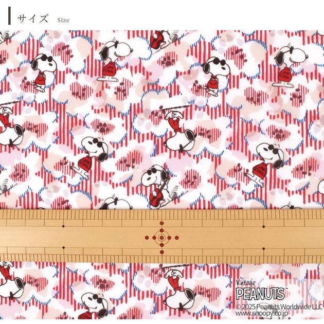LIBERTY.（リバティ） リバティプリント生地 国産 ジョー・クール 2025