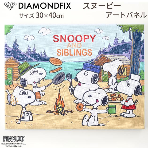 スヌーピーの絵 Snoopy Flag on the Moon Print