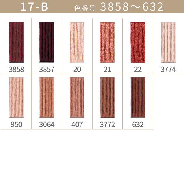 全500色 DMC 刺繍糸 25番 1カセ 8m 17-B 3858〜632 11色 □ 117