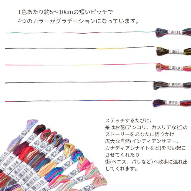 DMC 刺繍糸 Coloris コロリ 25番 1かせ 8m 全24色 □ マルチカラー