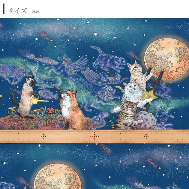 生地 布 布地 365 CAT.ART シーチング 月あかりの猫 □ kokka おとぎの