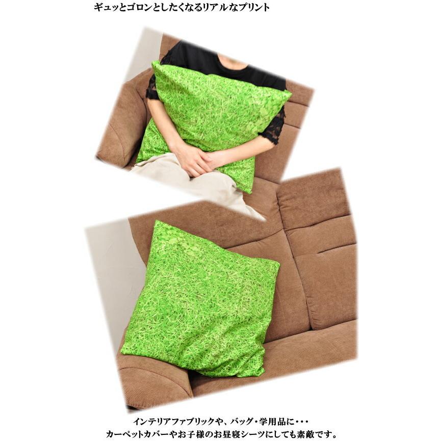 生地 布 10番キャンバス 芝生でゴロン □ ハンドメイド 手芸 手作り