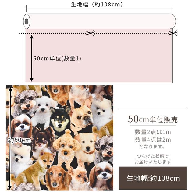 生地 布 布地 シーチング インクジェットプリント