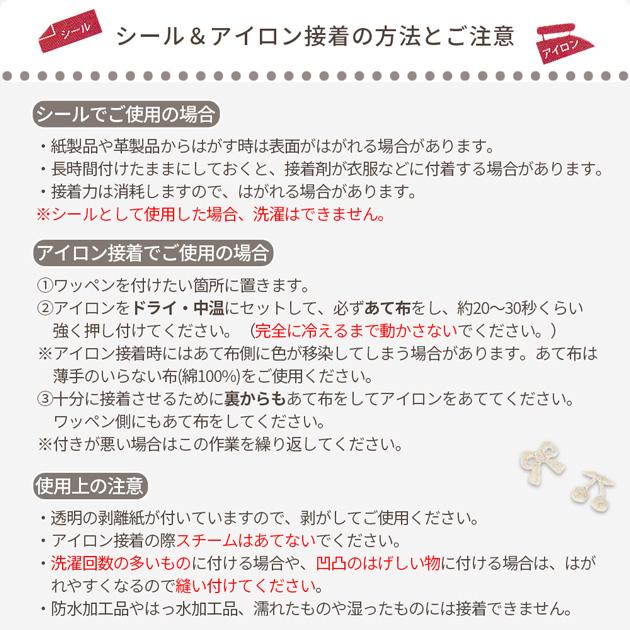 リボン サクランボ プチワッペン シール & アイロン接着 2WAY 5枚入