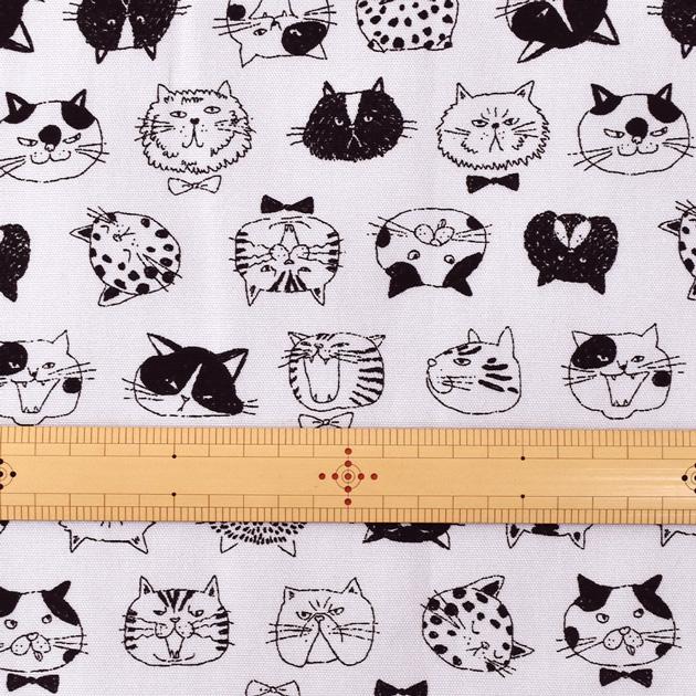 生地 布 布地 オックス にゃん顔コレクション □ 可愛い 猫 動物