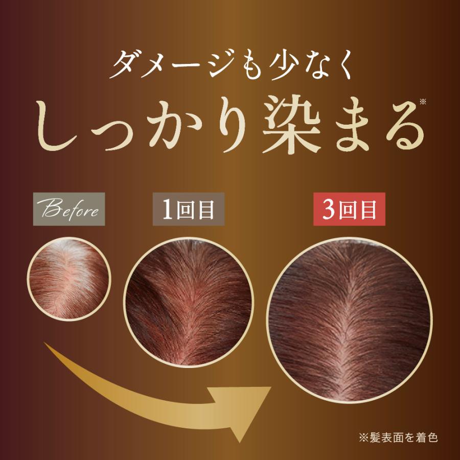 マイナチュレ 【4/25~4/30 限定セール!!】カラートリートメント マイナチュレ 【4/25~4/30 限定セール!!】カラートリートメント