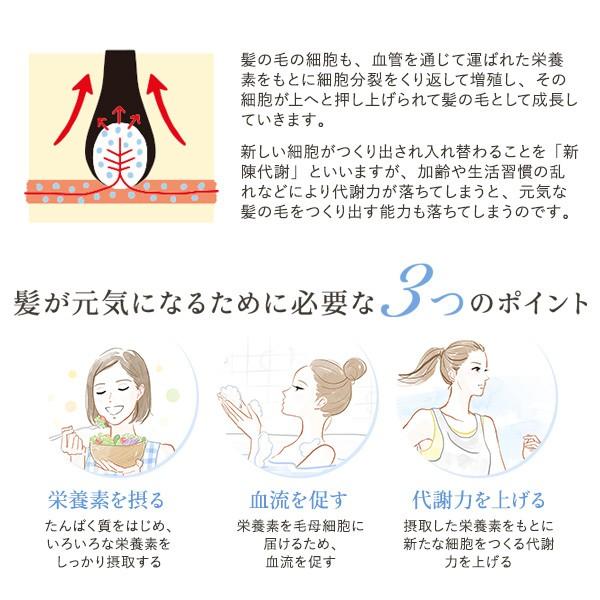 育毛 サプリ 女性用 レディース 薄毛 抜け毛 頭皮 マイナチュレ サプリメント シナジー 90粒 美容成分 毛髪 育毛サプリ 無添加 レッドビジョン Synergy マイナチュレyahoo 店 通販 Yahoo ショッピング