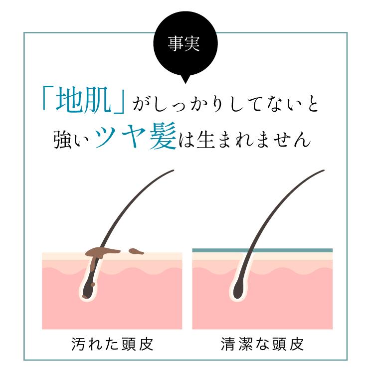 マイナチュレ ヘアトリートメント トリートメント リンス コンディショナー 無添加 オーガニック 国産 レッドビジョン ヘア | マイナチュレ | 05