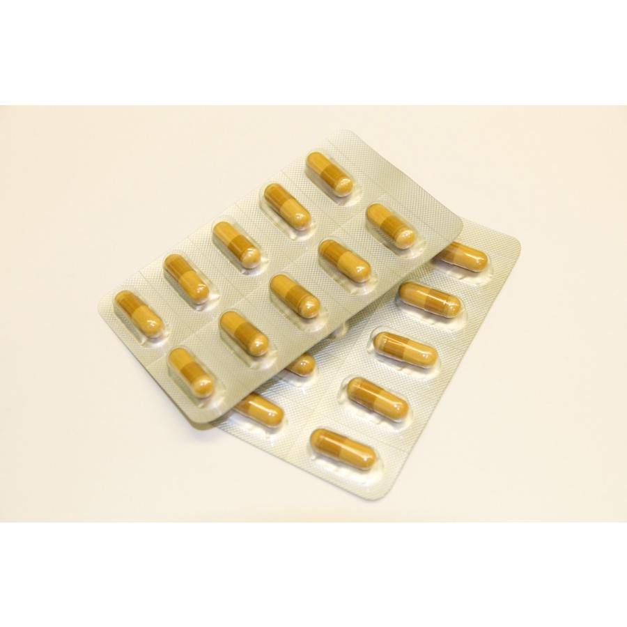 マイケア公式 イタドリ 490mg×90粒 グルコサミン1000mg 北海道産大痛取｜mycare｜03