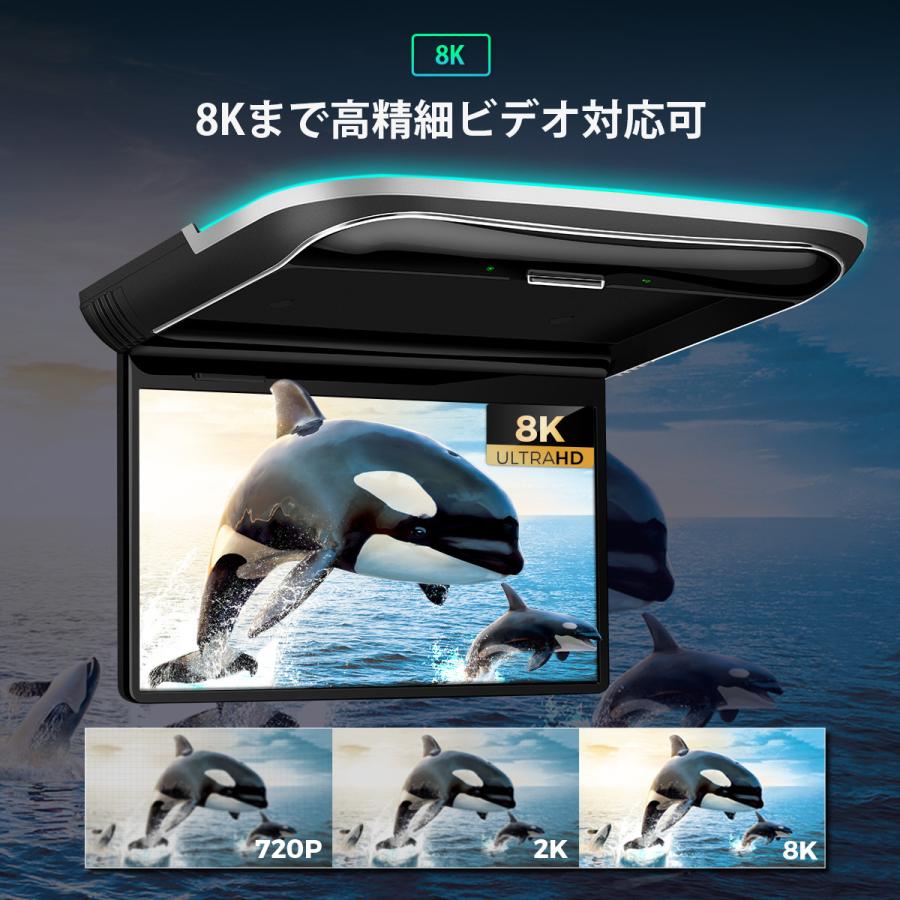 XTRONS（エクストロンス） (CM125A)XTRONS フリップダウンモニター