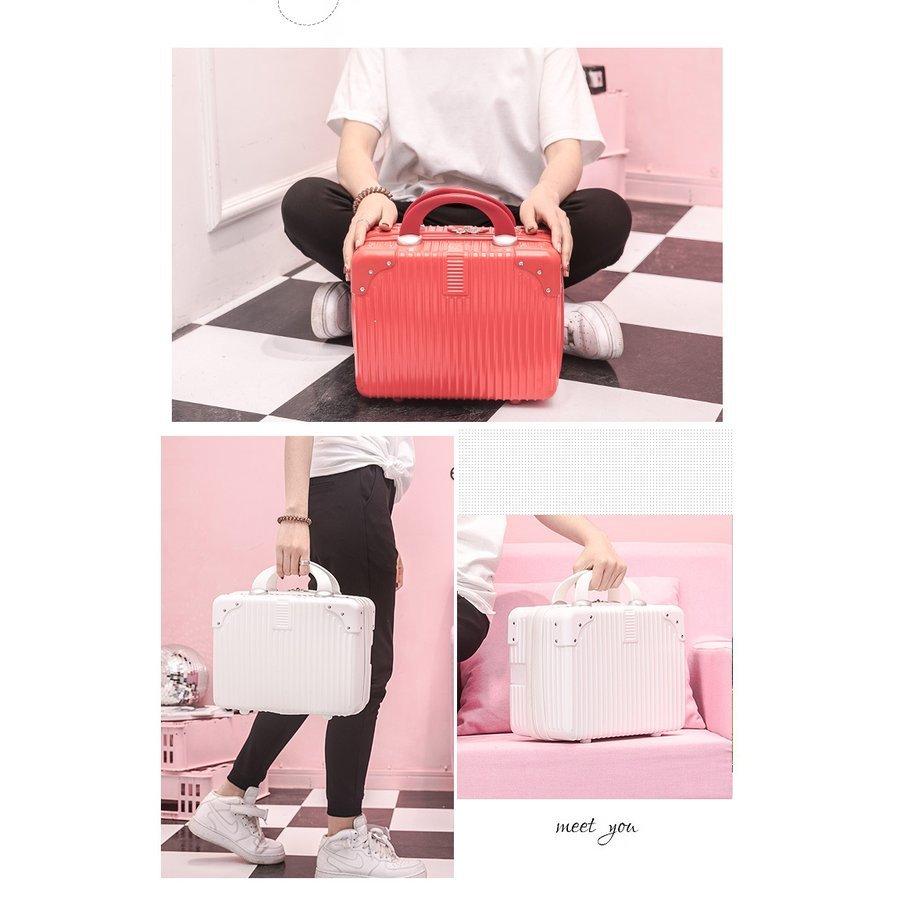 メーカー直売 スーツケース 機内持ち込み ミニ キャリーバッグ ビジネス 軽量 かわいい トランクケース キャリーケース 小物収納 Demo Ibcl Lu