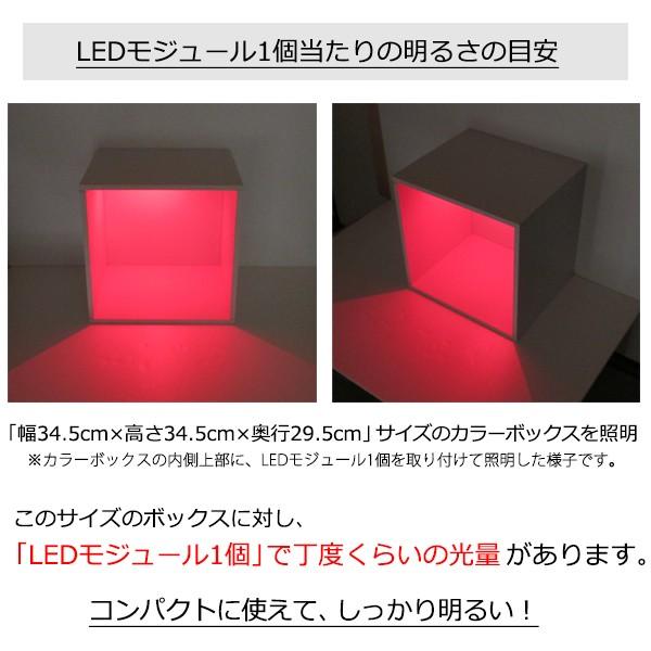 LEDモジュール 赤 1個入り（設置用ネジ4本付属） : マイクラフト