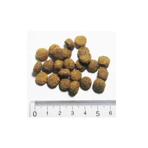 【正規品】　アーガイルディッシュ　エバーラスティング　シニア　8kg　【4kg×2】