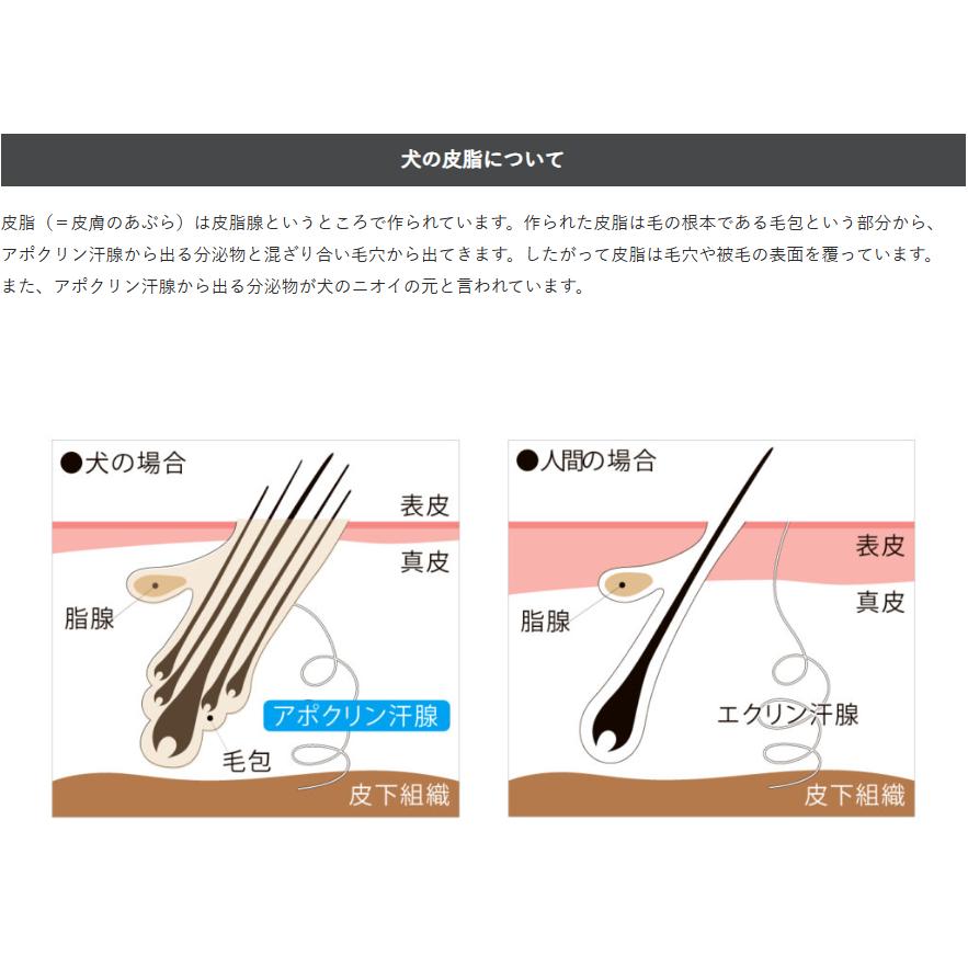 A.P.D.C. APDC ティーツリーシャンプー 5L : my DOG - 通販 - Yahoo