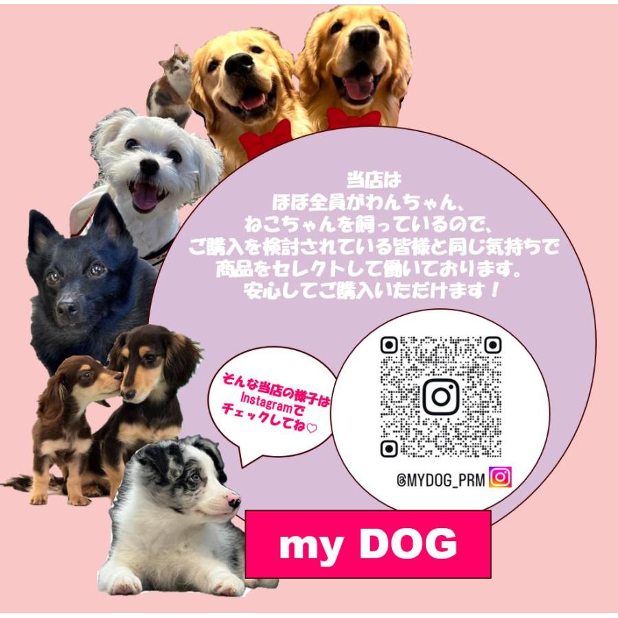 BIOGANCE バイオガンス プロテインプラスシャンプー 4L : my DOG