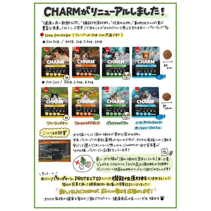 チャーム（charm） ノース・アトランティック・オーシャン・フィッシュ