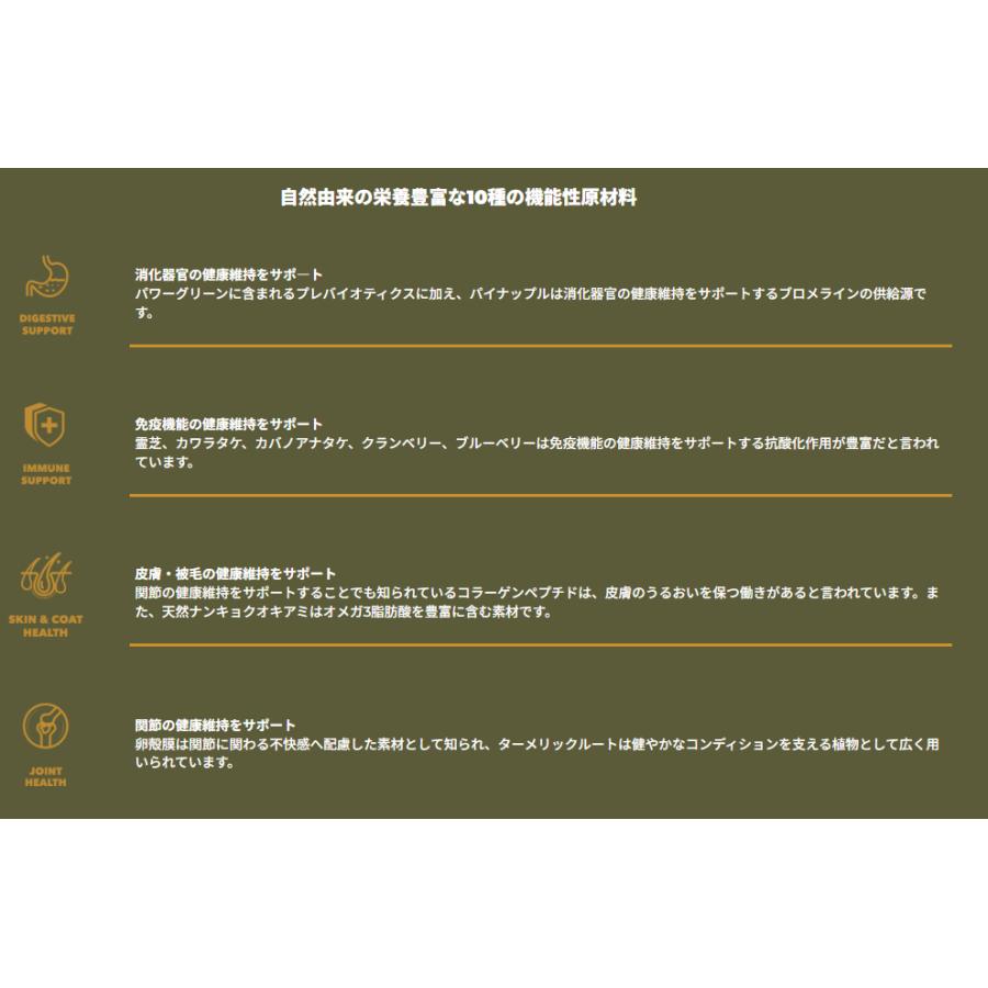 チャーム（charm） グラスフェッド ラム ドッグフード 10kg 犬用 高