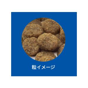 セレクトバランス グレインフリー アダルト サーモン 小粒 6kgの画像