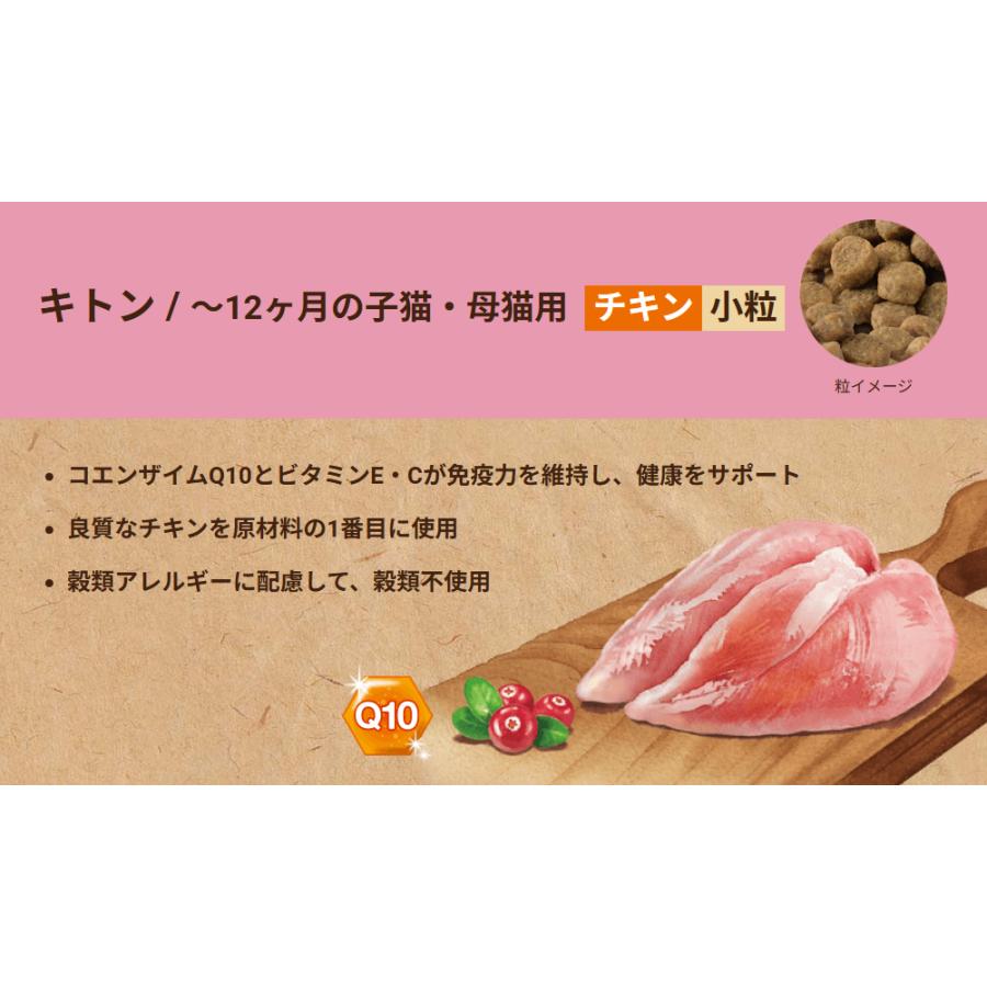 SELECT BALANCE セレクトバランス グレインフリー 猫 キトン チキン