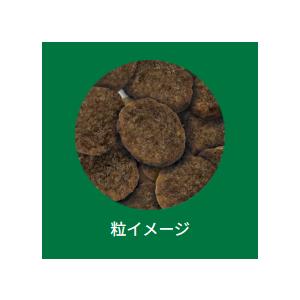 SELECT BALANCE セレクトバランス エイジングケア ラム 小粒 7kg : my