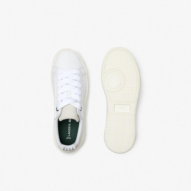 ラコステ レディーススニーカー LACOSTE CARNABY PLAT 123 1 SFA