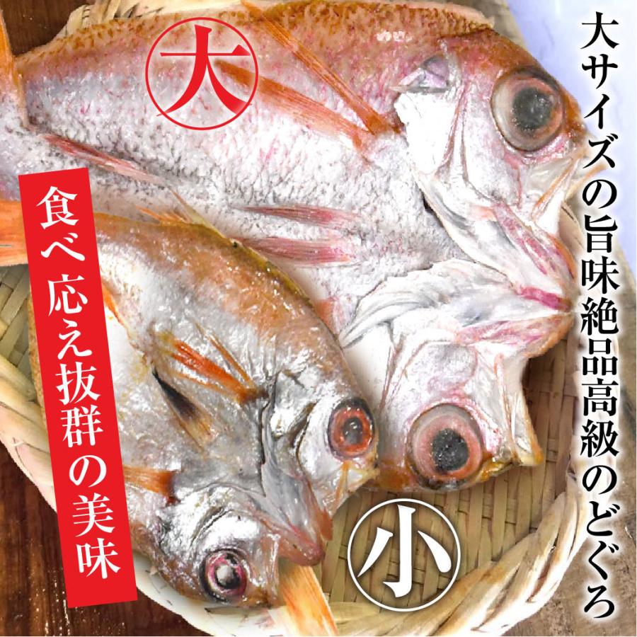 干物 ノドグロの一夜干し 10尾入 1尾約20cm ギフト のどぐろ アカムツ ノドグロ 魚介 海鮮 産地直送 鳥取 国産 贈答 お取り寄せ :25-002-nodoguro:MY GIFT - 通販 - Yahoo!ショッピング 干物 ノドグロの一夜干し 10尾入 1尾約20cm ギフト のどぐろ アカムツ ノドグロ 魚介 海鮮 産地直送 鳥取 国産 贈答 お取り寄せ :25-002-nodoguro:MY GIFT - 通販 - Yahoo!ショッピング