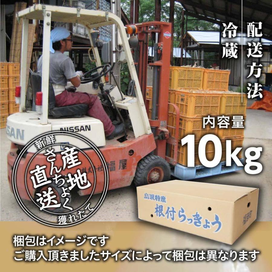 らっきょうの配送方法