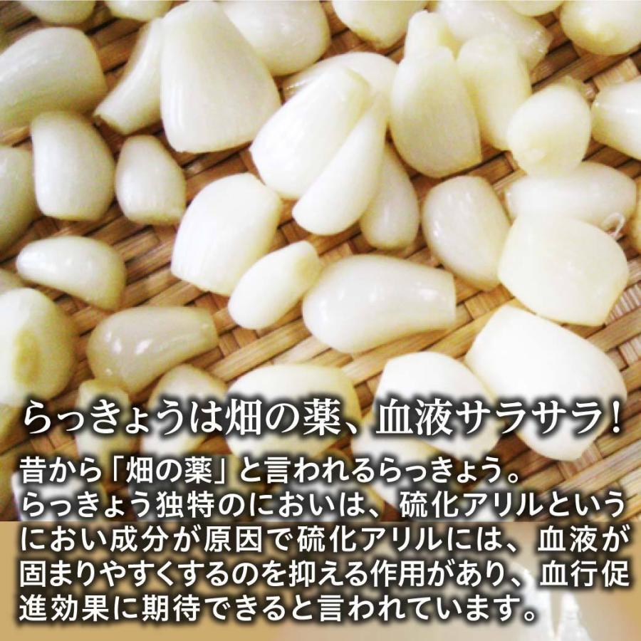 らっきょうのサラダ