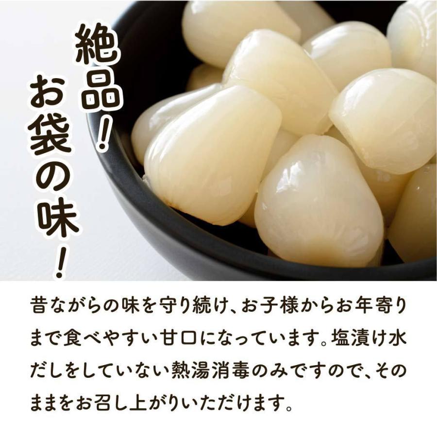 らっきょう ラッキョウ 鳥取県 国産 無添加 らっきょう漬け 甘酢漬け