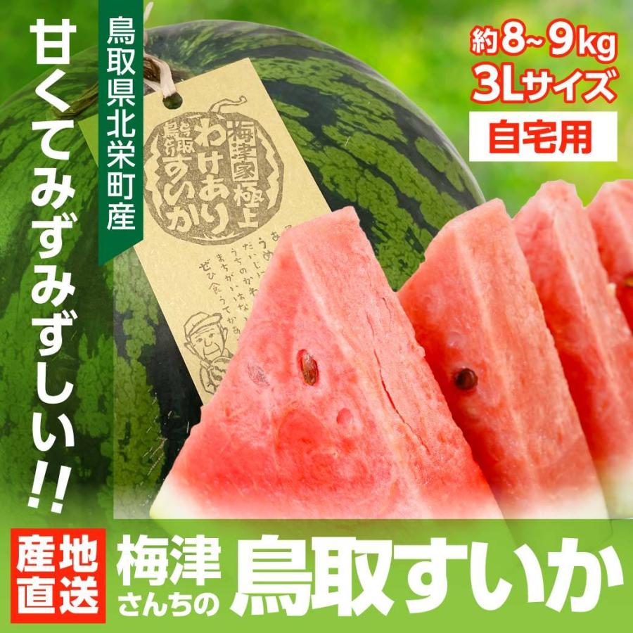 1290円 最新発見 スイカ 梅津さんちのスイカ 鳥取すいか 自宅用 3lサイズ 約8 9kg 1玉 訳あり 今が旬 鳥取県産 北栄町産 西瓜 送料無料 北海道 沖縄を除く