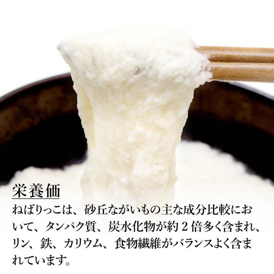 【鳥取県産】黄金里芋5kg 白ねぎ5kg 長芋(家庭用)10kg 合計20kg 鳥取県産】ねばりっこ 業務用（10kg）7月30日注文締切 – さんチョク