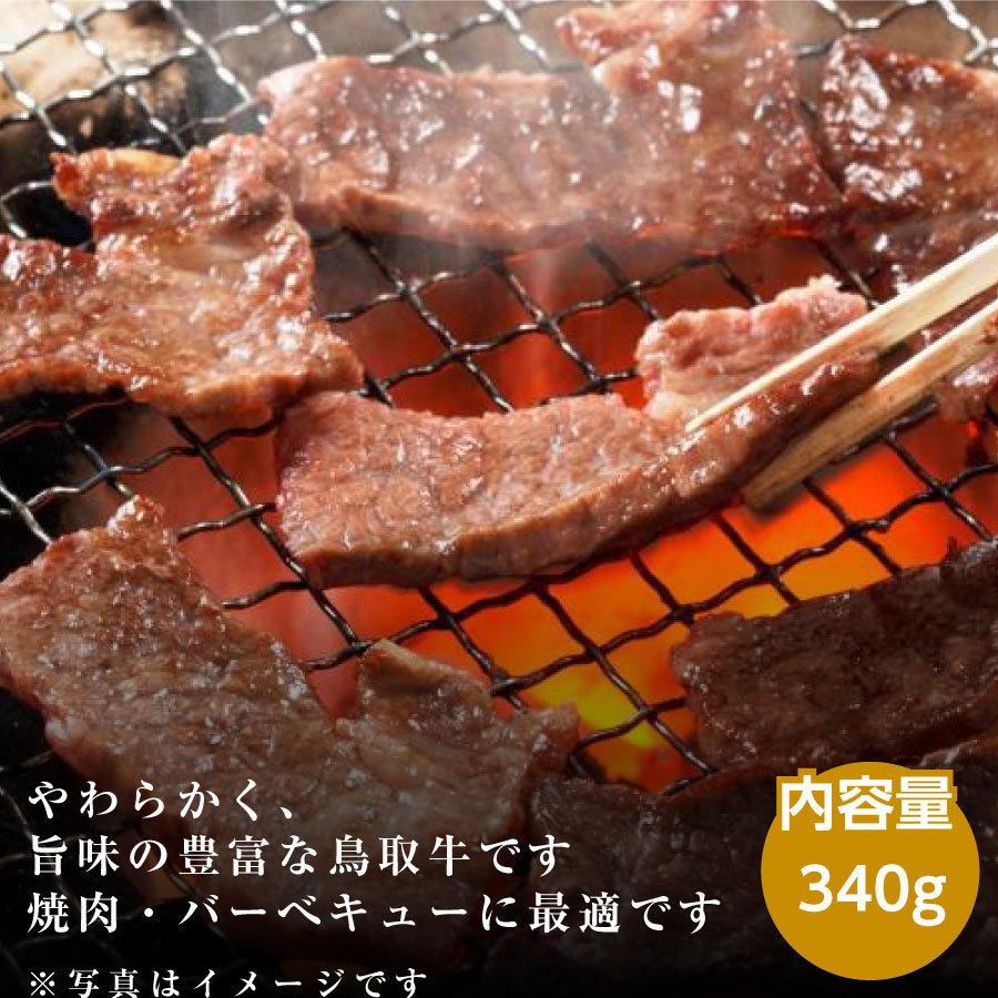牛肉 肉 焼肉 鳥取牛 ロース 鉄板焼き Bqq バーベキュー 340g 鳥取県産 ギフト 30 002 Tottorigyu My Gift 通販 Yahoo ショッピング