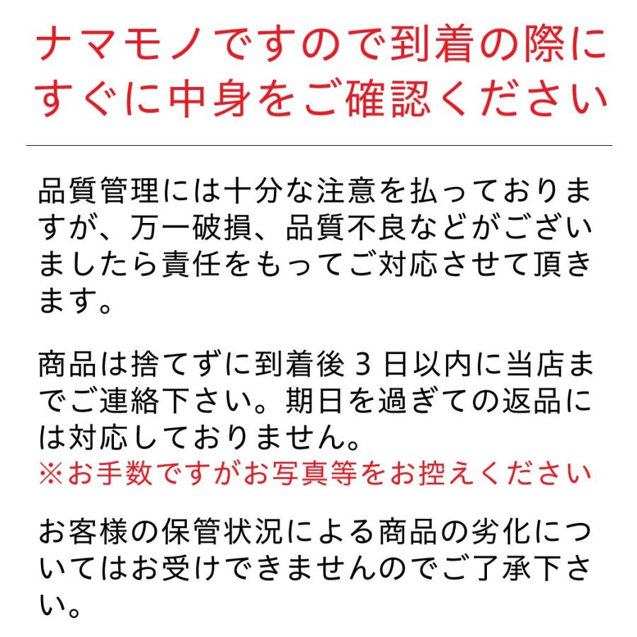 いちご 鳥取県新ブランド とっておき 苺 とっておき 4P詰合せ 有機肥料使用 産地直送 ブランド イチゴ  大粒苺 鳥取 送料無料（北海道・沖縄を除く）｜mygift-shop｜10