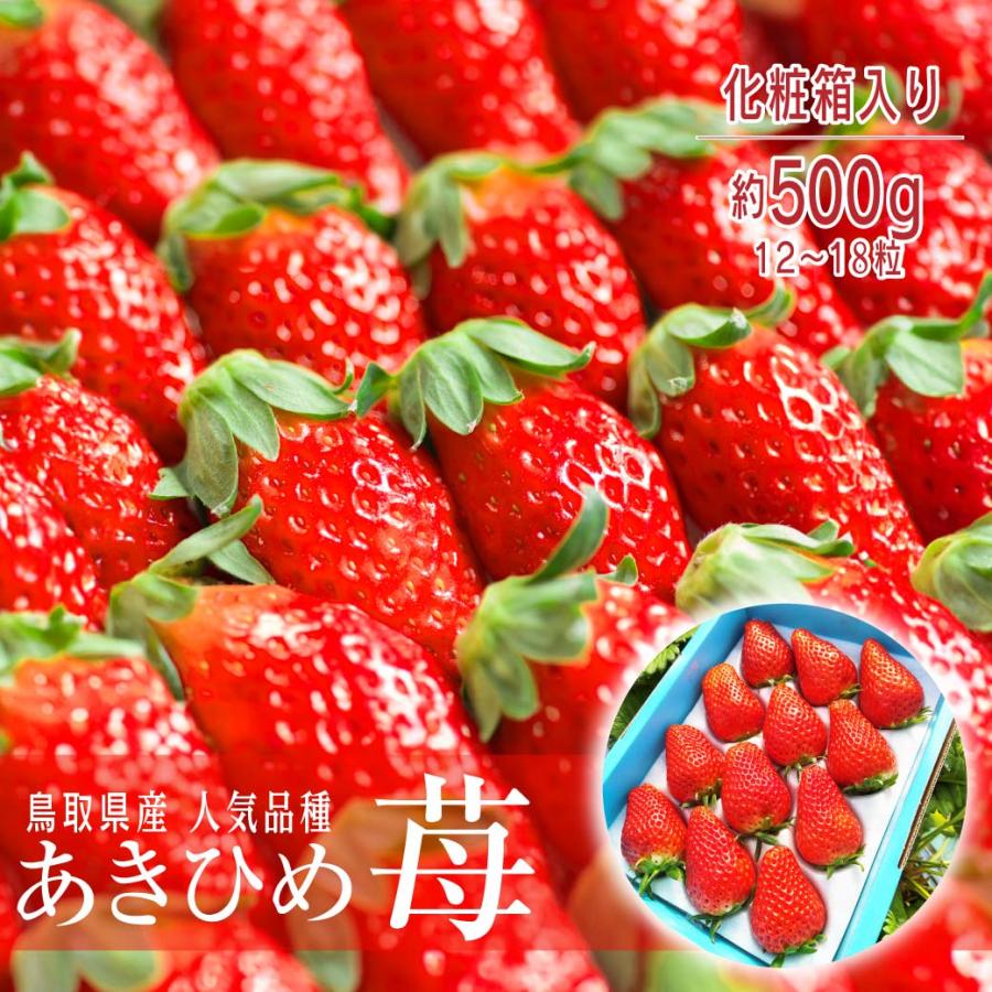 イチゴ あきひめ 章姫 約500g 12~18粒入り 化粧箱 ギフト 有機肥料使用 産地直送 歳暮 プレゼント ブランド 大粒 苺 鳥取 送料無料（北海道・沖縄を除く） | 