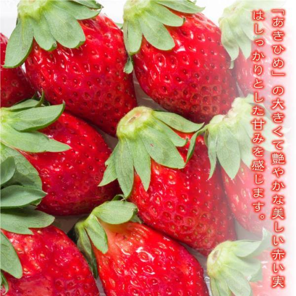 イチゴ あきひめ 章姫 約500g 12~18粒入り 化粧箱 ギフト 有機肥料使用 産地直送 歳暮 プレゼント ブランド 大粒 苺 鳥取 送料無料（北海道・沖縄を除く） |  | 01