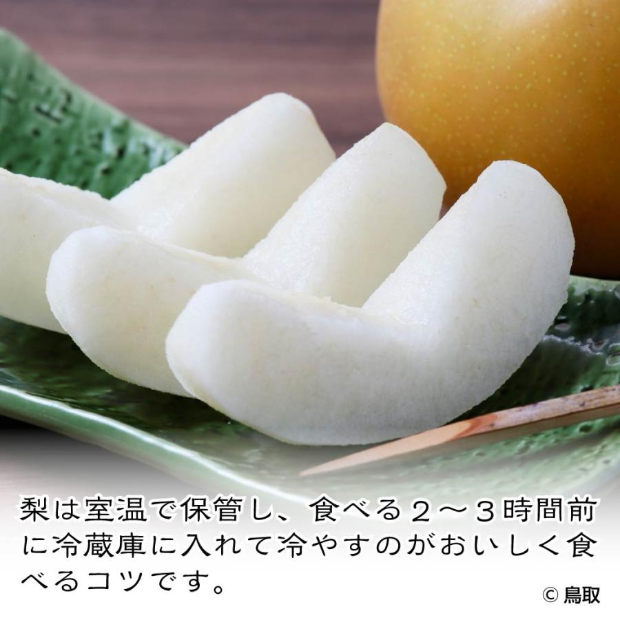 贈答用　あまぁい新甘泉　３キロ✖️2箱　お買い得 9月上旬出荷】 自宅用 梨 新甘泉 3kg 6~10玉入 鳥取県産 しんかんせん